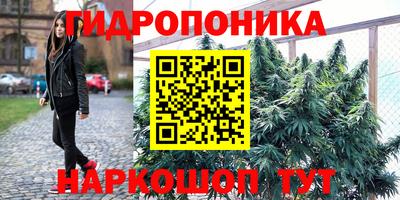 jwh Чебоксары