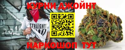 гидра Шахты
